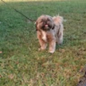 Meet your Posher, Terry